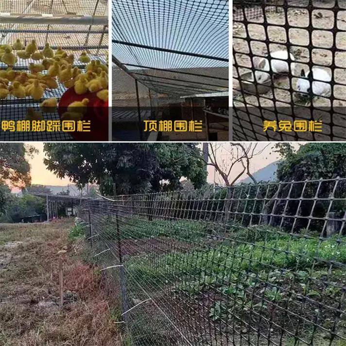 西安玻纤土工格栅价格 #兰州土工格栅 #钢塑土工格栅 #阿 - 抖音
